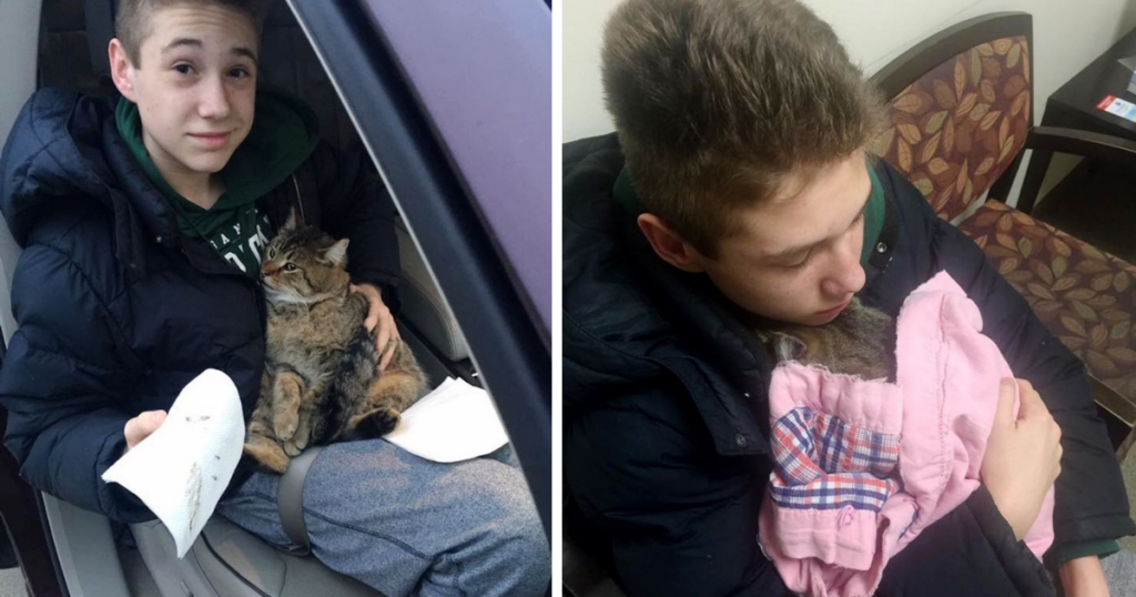 Teen Hero Risks Life to Rescue Cat Abandoned on Busy Highway