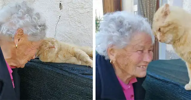 Emotional Reunion: Senior Woman Finds Her Missing Cat After Four Years of Separation